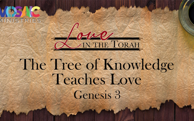 Genesis-3-Tree-of-Knowledge
