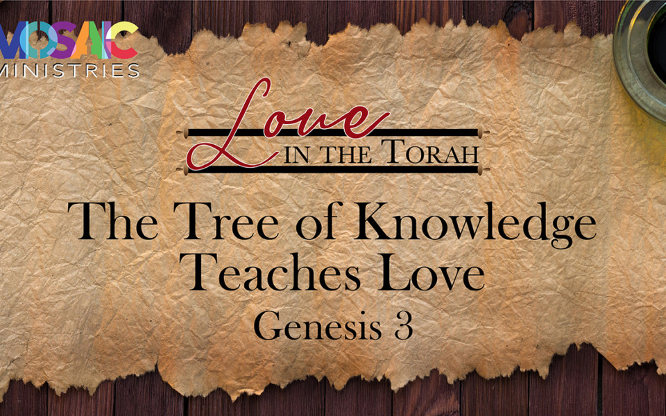 Genesis-3-Tree-of-Knowledge