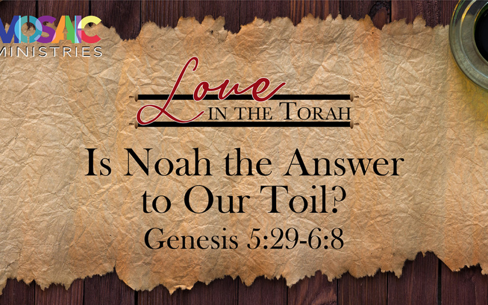 Genesis-5_6-Noah