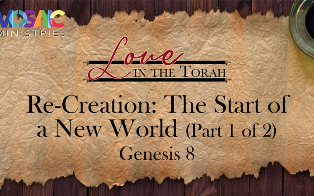 Genesis-8-Part-1